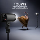 120Ws NEEWER studio outdoor flash light boasts high brightness lighting with 5600K