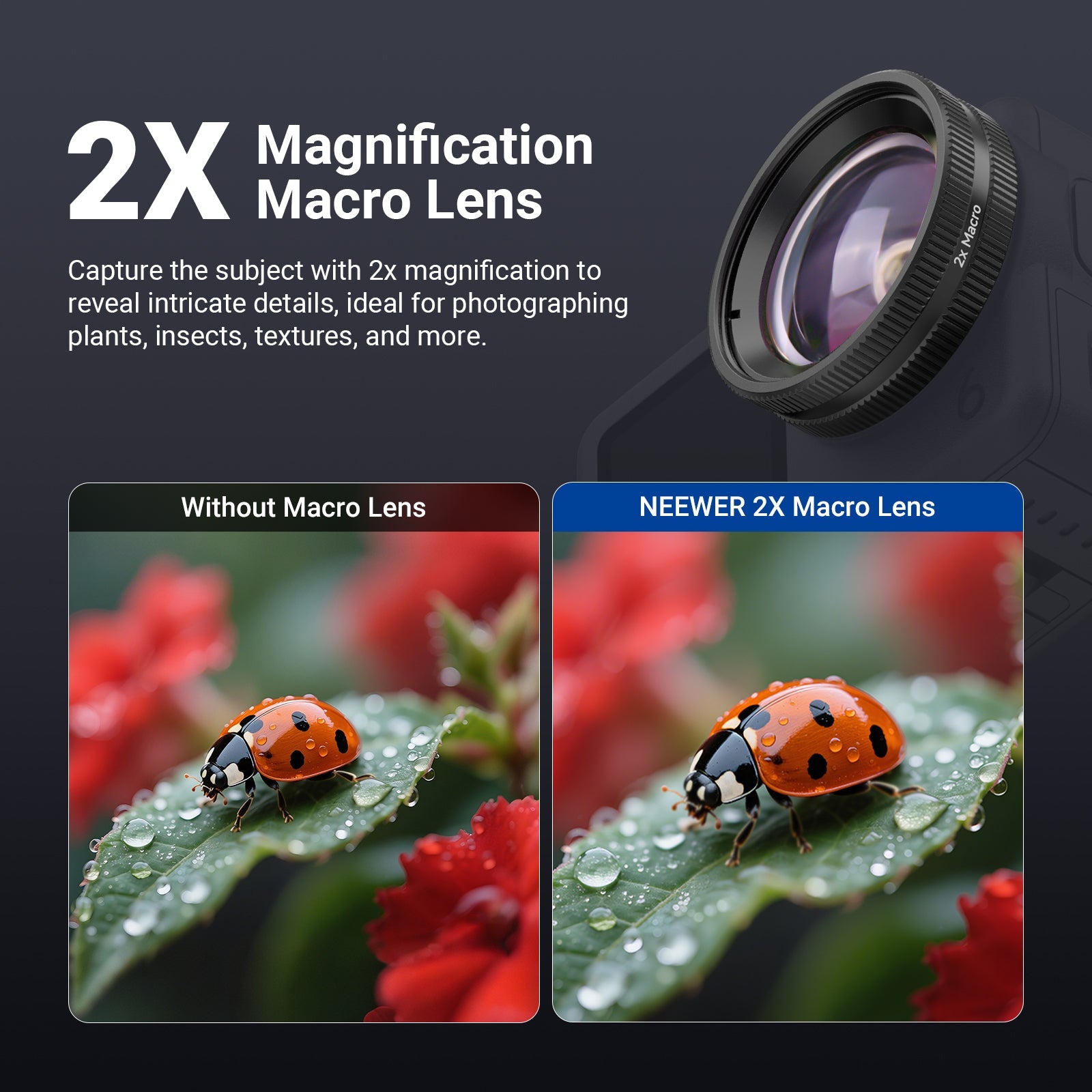 Side-by-side comparison of ladybug macro shots showing enhanced detail captured with NEEWER 2X Macro Lens versus standard shooting without macro attachment